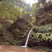 ヒメ日記 2025/09/30 13:30 投稿 あんず モアグループ川越人妻花壇