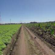 ヒメ日記 2025/10/18 12:00 投稿 あんず モアグループ川越人妻花壇