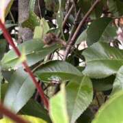 ヒメ日記 2025/10/21 10:00 投稿 あんず モアグループ川越人妻花壇