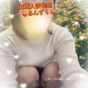 ヒメ日記 2025/11/25 07:00 投稿 あんず モアグループ川越人妻花壇