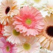 ヒメ日記 2025/12/07 20:30 投稿 あんず モアグループ川越人妻花壇