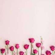 ヒメ日記 2025/12/12 21:00 投稿 あんず モアグループ川越人妻花壇