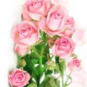 ヒメ日記 2025/12/14 17:30 投稿 あんず モアグループ川越人妻花壇