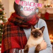 ヒメ日記 2025/12/20 16:00 投稿 あんず モアグループ川越人妻花壇