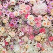 ヒメ日記 2025/12/22 20:00 投稿 あんず モアグループ川越人妻花壇