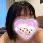 ヒメ日記 2026/04/06 20:46 投稿 かのん 千葉人妻花壇