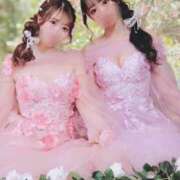 ヒメ日記 2026/04/15 22:00 投稿 姫川きらり ZERO