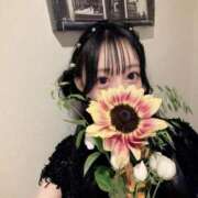 ヒメ日記 2026/05/11 17:28 投稿 姫川きらり ZERO