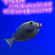 ヒメ日記 2026/06/17 19:45 投稿 せりな【ロイヤルOP対応】 あなたの全てを包み込む　優しいひとづま