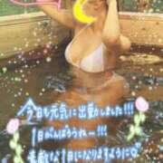 ヒメ日記 2026/08/04 08:53 投稿 せりな【ロイヤルOP対応】 あなたの全てを包み込む　優しいひとづま
