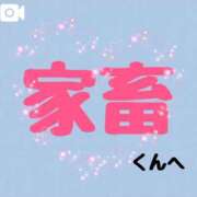 ヒメ日記 2026/03/14 23:05 投稿 朝霧乃々花 ルーインドオーガズム五反田本店