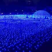 ヒメ日記 2025/11/17 19:00 投稿 華閃-かせん 熟女10000円デリヘル 川崎