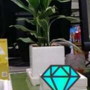 ヒメ日記 2026/01/30 17:20 投稿 華閃-かせん 熟女10000円デリヘル横浜