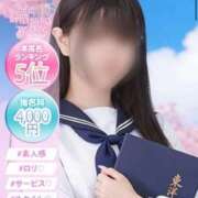 ヒメ日記 2026/04/01 01:01 投稿 つきの プレミアム(福原)