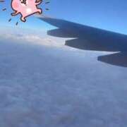 ヒメ日記 2025/08/27 12:21 投稿 ささみ プレミアム(福原)