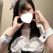 ヒメ日記 2025/10/05 06:46 投稿 ささみ プレミアム(福原)