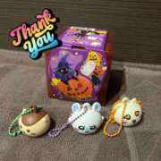 ヒメ日記 2025/10/29 11:29 投稿 ささみ プレミアム(福原)