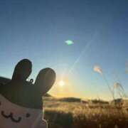 ヒメ日記 2025/12/06 21:21 投稿 ささみ プレミアム(福原)