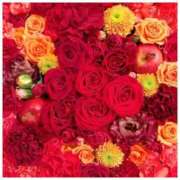 ヒメ日記 2025/07/18 12:46 投稿 めぐ ジュリアングループ八王子店