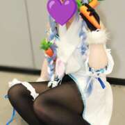 ヒメ日記 2025/07/25 23:11 投稿 ほこり あるまぎ！