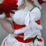 ヒメ日記 2025/07/29 11:36 投稿 ほこり あるまぎ！