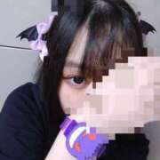 ヒメ日記 2025/09/02 23:23 投稿 ほこり あるまぎ！