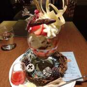 ヒメ日記 2025/12/13 11:16 投稿 ほこり あるまぎ！