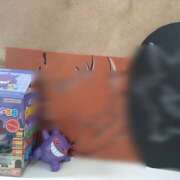 ヒメ日記 2025/12/31 12:06 投稿 ほこり あるまぎ！