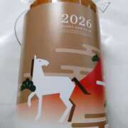 ヒメ日記 2026/01/12 13:24 投稿 ほこり あるまぎ！