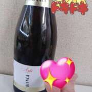 ヒメ日記 2026/01/20 12:07 投稿 ほこり あるまぎ！