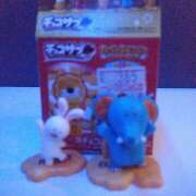 ヒメ日記 2026/02/03 12:10 投稿 ほこり あるまぎ！