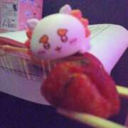 ヒメ日記 2026/02/05 12:12 投稿 ほこり あるまぎ！