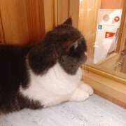 ヒメ日記 2026/02/16 17:16 投稿 ほこり あるまぎ！