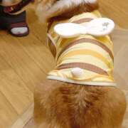 ヒメ日記 2026/04/02 14:55 投稿 ほこり あるまぎ！