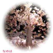 ヒメ日記 2026/03/03 10:10 投稿 なのは 熟女の風俗最終章 町田店