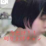 ヒメ日記 2025/08/08 16:20 投稿 シズク Ageha(アゲハ)