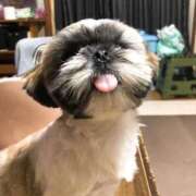 ヒメ日記 2025/07/10 09:05 投稿 葵【あおい】 La Rouge(中津)