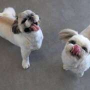 ヒメ日記 2025/07/22 21:25 投稿 葵【あおい】 La Rouge(中津)