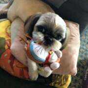 ヒメ日記 2025/08/17 09:06 投稿 葵【あおい】 La Rouge(中津)