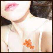 ヒメ日記 2025/10/29 23:25 投稿 風見れんな ワイフコレクション