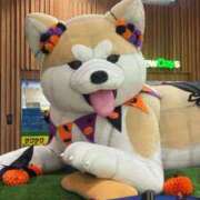 ヒメ日記 2026/01/31 16:04 投稿 すず ラブ・アンド・ラブ