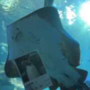 ヒメ日記 2026/04/07 05:56 投稿 すず ラブ・アンド・ラブ