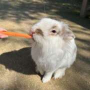 ヒメ日記 2026/03/24 21:00 投稿 Mai(まい) AMATERAS(アマテラス)(福山)