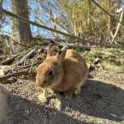 ヒメ日記 2026/04/07 22:27 投稿 Mai(まい) AMATERAS(アマテラス)(福山)