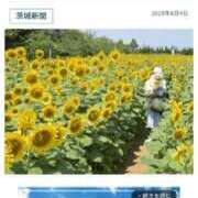 ヒメ日記 2025/08/10 08:15 投稿 いのり モアグループ神栖人妻花壇