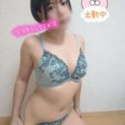 ヒメ日記 2025/11/23 15:06 投稿 いのり モアグループ神栖人妻花壇