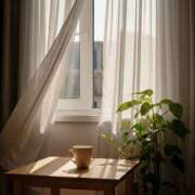 ヒメ日記 2025/07/17 09:45 投稿 黒木りおな セカンドパートナー