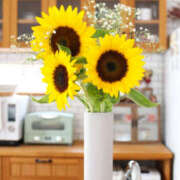 ヒメ日記 2025/08/14 21:55 投稿 黒木りおな セカンドパートナー