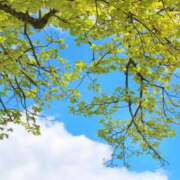 ヒメ日記 2025/08/17 12:58 投稿 黒木りおな セカンドパートナー