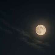 ヒメ日記 2025/08/21 14:28 投稿 黒木りおな セカンドパートナー